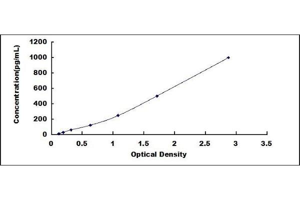 Copeptin ELISA Kit