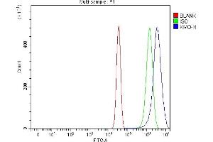 Flow Cytometry analysis of Neuro-2a cells using anti-KMO antibody (ABIN7600958). (KMO antibody  (AA 26-372))