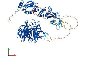 Protein Structure (PS) image for Influenza Virus NS1A Binding Protein (IVNS1ABP) (AA 1-642) protein (His tag) (ABIN7564843)