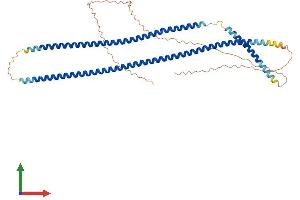 Protein Structure (PS) image for Keratin 16 (KRT16) (AA 1-473) protein (His tag) (ABIN7548698)