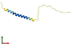 AlphaFold protein structure predicition of Mouse Recombinant Adig Protein, UniprotID Q8R400 (ADIG Protein (AA 1-80) (Fc Tag))