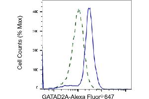 Validation of GATAD2A knockdown using flow cytometry.