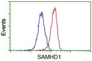 Flow cytometric Analysis of Hela cells, using anti-SAMHD1 antibody (ABIN2453970), (Red), compared to a nonspecific negative control antibody, (Blue). (SAMHD1 antibody)