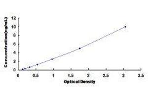 Podoplanin (PDPN) ELISA Kit