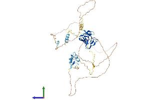 AlphaFold protein structure predicition of Human Recombinant APLF Protein, UniprotID Q8IW19 (APLF Protein (AA 1-511) (His tag))