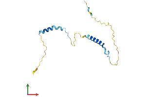 AlphaFold protein structure predicition of Human Recombinant PCP2 Protein, UniprotID Q8IVA1 (Pcp2 Protein (AA 1-136) (His tag))