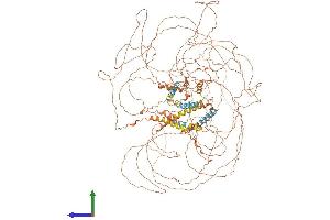 AlphaFold protein structure predicition of Human Recombinant SPATA31A3 Protein, UniprotID Q5VYP0 (SPATA31A3 Protein (AA 1-1347) (His tag))