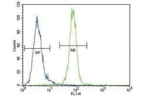 Anti-AKT antibody flow cytometric analysis of MDA-MB435 cells (right histogram) compared to a negative control (left histogram). (AKT1 antibody  (AA 49-76))