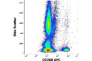 Flow cytometry surface staining pattern of human peripheral whole blood stained using anti-human CD268 (11C1) APC antibody (4 μL reagent / 100 μL of peripheral whole blood). (TNFRSF13C antibody  (APC))