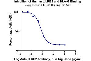 Binding Studies (Bind) image for Leukocyte Immunoglobulin-Like Receptor, Subfamily B (With TM and ITIM Domains), Member 2 (LILRB2) (AA 22-458) protein (His-Avi Tag) (ABIN7275187)