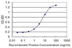 Detection limit for recombinant GST tagged TRIM72 is 0. (TRIM72 antibody  (AA 378-477))