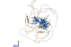 AlphaFold protein structure predicition of Mouse Recombinant Arhgap20 Protein, UniprotID Q6IFT4