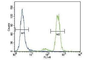 Flow Cytometry (FACS) image for anti-Protein Kinase C, alpha (PKCa) (AA 299-329) antibody (ABIN3032373)