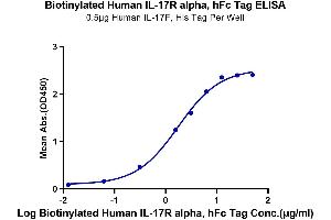 Immobilized Human IL-17F, His Tag at 5 μg/mL (100 μL/well) on the plate. (IL17RA Protein (Fc-Avi Tag,Biotin))