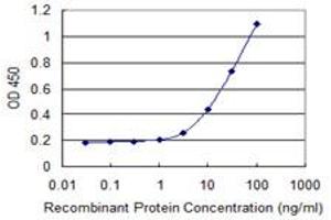 Detection limit for recombinant GST tagged HOXB9 is 1 ng/ml as a capture antibody. (HOXB9 antibody  (AA 65-163))