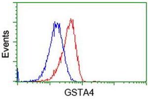 Flow cytometric Analysis of Hela cells, using anti-GSTA4 antibody (ABIN2453091), (Red), compared to a nonspecific negative control antibody (TA50011), (Blue). (GSTA4 antibody)