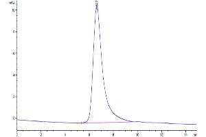 Size-exclusion chromatography-High Pressure Liquid Chromatography (SEC-HPLC) image for Sema Domain, Immunoglobulin Domain (Ig), Transmembrane Domain (TM) and Short Cytoplasmic Domain, (Semaphorin) 4D (SEMA4D) (AA 24-733) protein (His tag) (ABIN7275569)