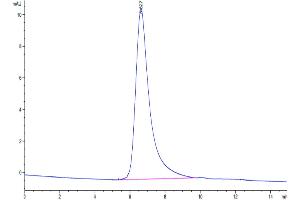 The purity of Mouse Semaphorin 4D is greater than 95 % as determined by SEC-HPLC. (SEMA4D/CD100 Protein (AA 24-733) (His tag))