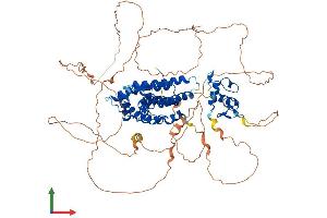 AlphaFold protein structure predicition of Human Recombinant NR3C1 Protein, UniprotID P04150