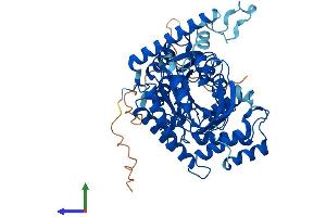AlphaFold protein structure predicition of Human Recombinant SPTLC3 Protein, UniprotID Q9NUV7 (SPTLC3 Protein (AA 1-552) (His tag))