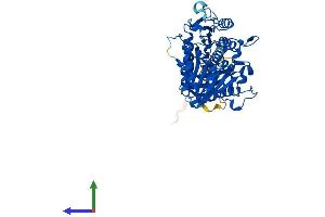 AlphaFold protein structure predicition of Mouse Recombinant Pld3 Protein, UniprotID O35405 (PLD3 Protein (AA 1-488) (His tag))