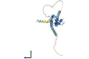 Protein Structure (PS) image for Gap Junction Protein, delta 2, 36kDa (GJD2) (AA 1-321) protein (His tag) (ABIN7546929)