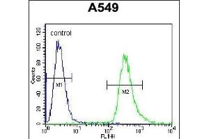 HSP90B1 Antibody (Center) (ABIN655868 and ABIN2845274) flow cytometric analysis of A549 cells (right histogram) compared to a negative control cell (left histogram). (GRP94 antibody  (AA 460-487))