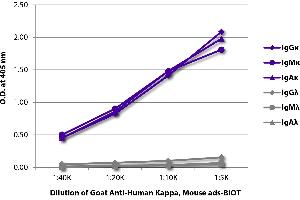 ELISA plate was coated with purified human IgGκ, IgMκ, IgAκ, IgGλ, IgMλ, and IgAλ. (Goat anti-Human Ig (Chain kappa) Antibody (Biotin))