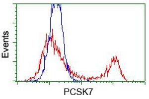HEK293T cells transfected with either pCMV6-ENTRY PCSK7 (RC203896) (Red) or empty vector control plasmid (Blue) were immunostained with anti-PCSK7 mouse monoclonal (ABIN2453428, Dilution 1:1,000), and then analyzed by flow cytometry. (PCSK7 antibody)