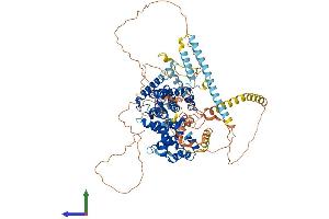 AlphaFold protein structure predicition of Mouse Recombinant Tbc1d5 Protein, UniprotID Q80XQ2 (TBC1D5 Protein (AA 1-815) (His tag))