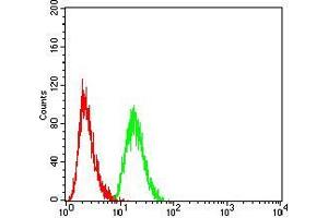 Flow cytometric analysis of Hela cells using MAP2K3 mouse mAb (green) and negative control (red).