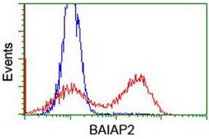 HEK293T cells transfected with either RC214570 overexpress plasmid (Red) or empty vector control plasmid (Blue) were immunostained by anti-BAIAP2 antibody (ABIN2454654), and then analyzed by flow cytometry.
