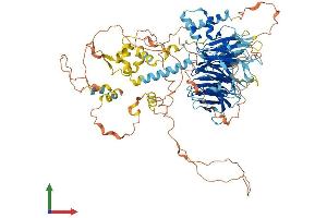 AlphaFold protein structure predicition of Mouse Recombinant Taf1c Protein, UniprotID Q6PDZ2