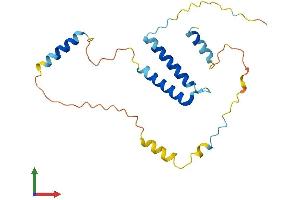 Protein Structure (PS) image for SERTA Domain Containing 3 (SERTAD3) (AA 1-197) protein (His tag) (ABIN7561429)