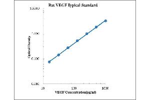 ELISA image for Vascular Endothelial Growth Factor (VEGF) ELISA Kit (ABIN2472113)