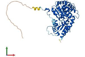 AlphaFold protein structure predicition of Mouse Recombinant Kyat3 Protein, UniprotID Q71RI9 (CCBL2 Protein (AA 1-455) (His tag))