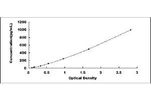 Typical standard curve (Poliovirus Receptor ELISA Kit)