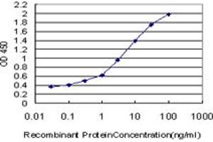 Detection limit for recombinant GST tagged IL17B is approximately 0. (IL17B antibody  (AA 23-122))