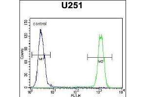 C Antibody (C-term) (ABIN654459 and ABIN2844192) flow cytometric analysis of  cells (right histogram) compared to a negative control cell (left histogram). (SLC35F6 antibody  (C-Term))