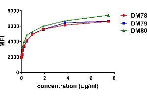 Affinity ranking of different Rabbit anti-GITR mAb clones by titration of different concentration onto PC3 cells. (TNFRSF18 antibody  (AA 266-162))