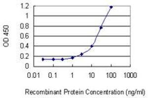 Detection limit for recombinant GST tagged NUP50 is 0. (NUP50 antibody  (AA 342-439))
