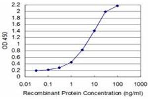 Detection limit for recombinant GST tagged TCEA3 is approximately 0. (TCEA3 antibody  (AA 1-348))