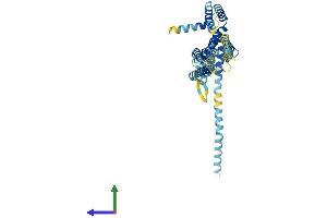 AlphaFold protein structure predicition of Human Recombinant DCSTAMP Protein, UniprotID Q9H295 (Transmembrane 7 Superfamily Member 4 (TM7SF4) (AA 1-470) protein (His tag))