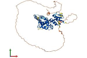 AlphaFold protein structure predicition of Human Recombinant CLIC5 Protein, UniprotID Q9NZA1 (CLIC5 Protein (AA 1-410) (His tag))