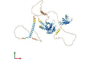 AlphaFold protein structure predicition of Human Recombinant PUF60 Protein, UniprotID Q9UHX1