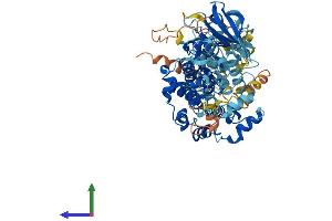 Protein Structure (PS) image for Ribosomal Protein S6 Kinase, 90kDa, Polypeptide 2 (RPS6KA2) (AA 1-733) protein (His tag) (ABIN7554353)