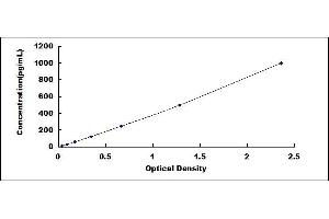 Typical standard curve (BMP6 ELISA Kit)