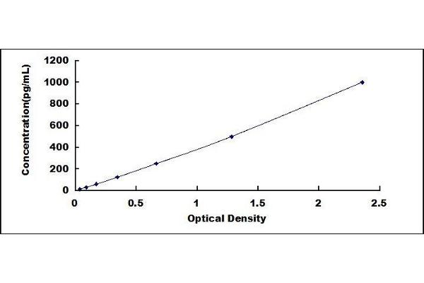 BMP6 ELISA Kit