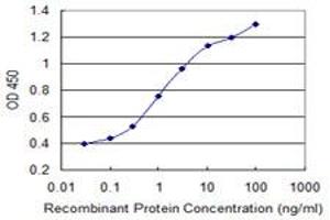 Detection limit for recombinant GST tagged PELO is 0. (PELO antibody  (AA 291-385))