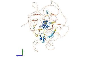 AlphaFold protein structure predicition of Mouse Recombinant Mis18bp1 Protein, UniprotID Q80WQ8